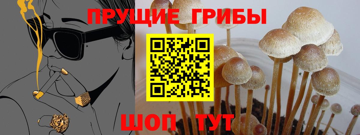 Галлюциногенные грибы GOLDEN TEACHER  Вход с VPN  Псилоцибиновые грибы MAGIC MUSHROOMS  Орёл 